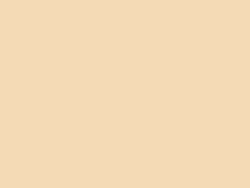 U16020-Cream